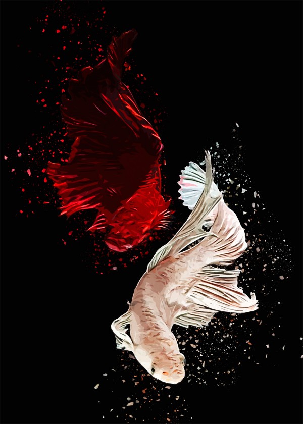 Betta Fish Lover 12 by RANGGA OZI