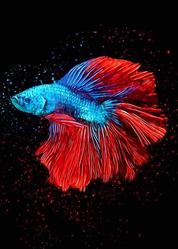 Betta Fish Lover 9 Print