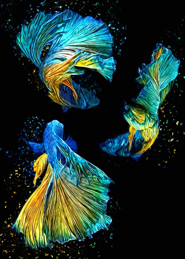 Betta Fish Lover 7 by RANGGA OZI