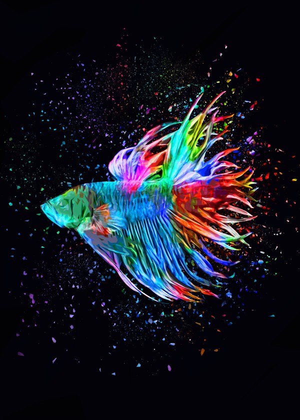 Betta Fish Lover 18 Print