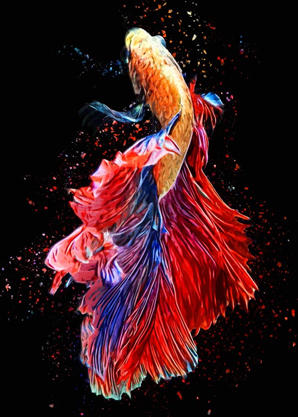 Betta Fish Lover 4 by RANGGA OZI