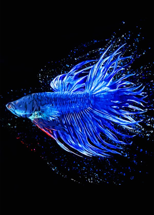 Betta Fish Lover 1 Print