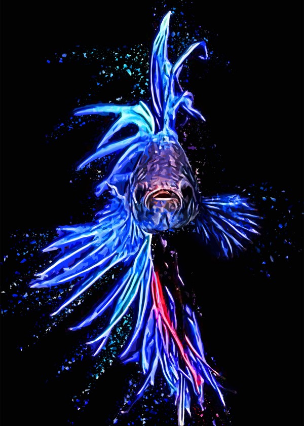 Betta Fish Lover 8 by RANGGA OZI