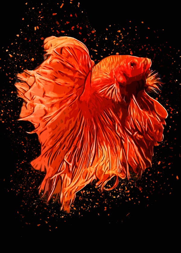 Betta Fish Lover  Print