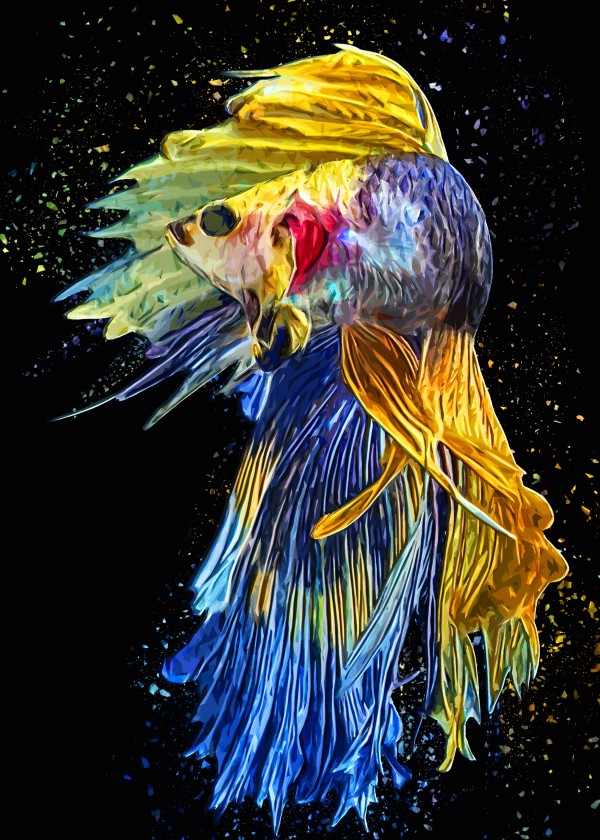 Betta Fish Lover 5 by RANGGA OZI