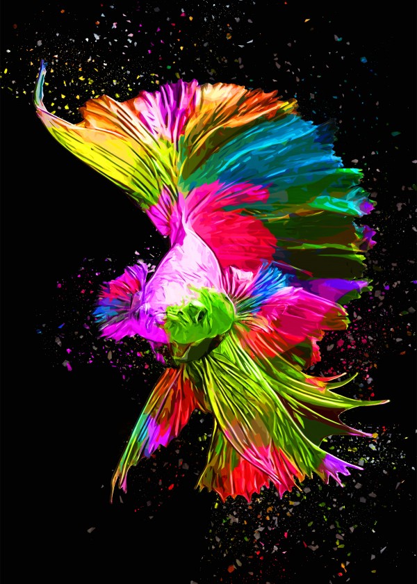 Betta Fish Lover 6 by RANGGA OZI