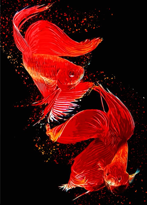 Betta Fish Lover 2 Print