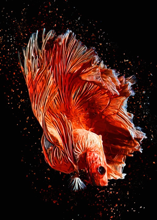 Betta Fish Lover 11 by RANGGA OZI