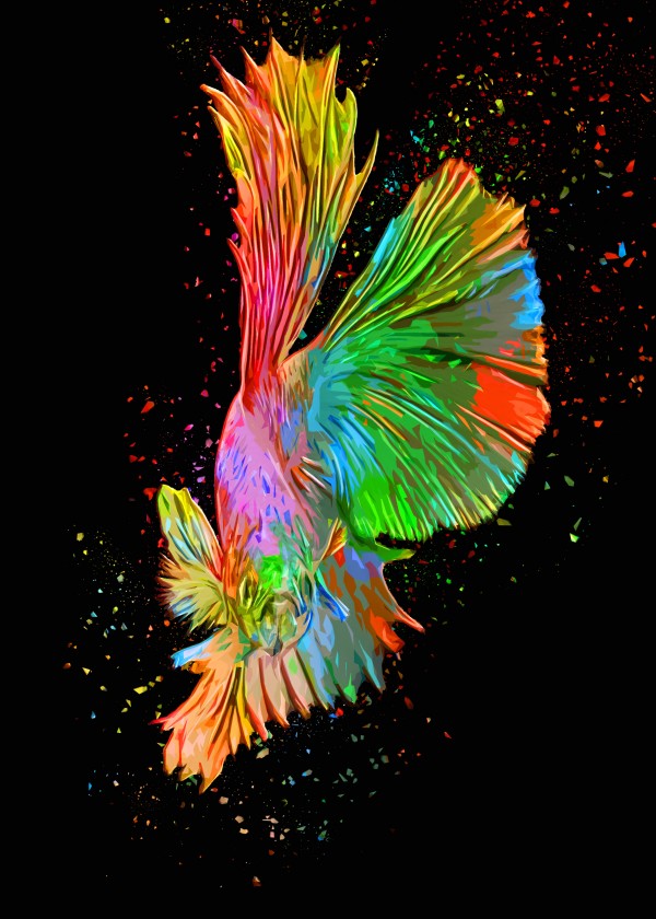Betta Fish Lover 14 by RANGGA OZI