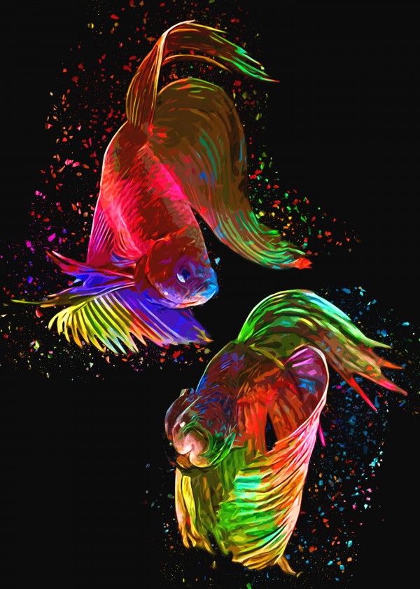 Betta Fish Lover 17 by RANGGA OZI