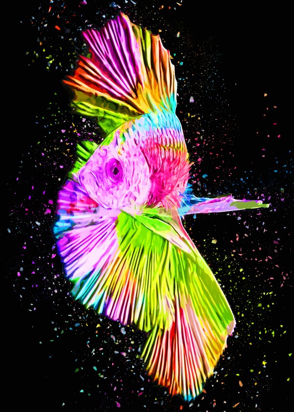Betta Fish Lover 16 by RANGGA OZI