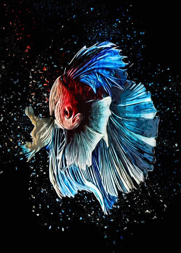Betta Fish Lover 15 by RANGGA OZI