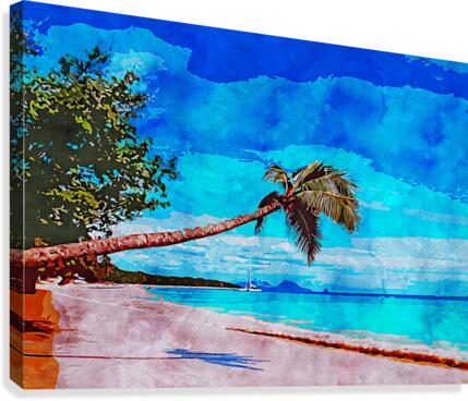 Nature 8 Canvas Print