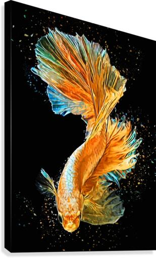 Betta Fish Lover 21 Canvas Print