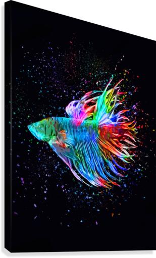 Betta Fish Lover 18 Canvas Print
