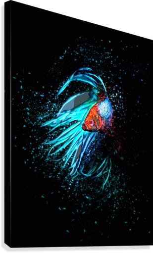Betta Fish Lover 13 Canvas Print
