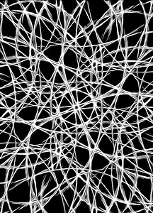 UNIVERSAL PATHWAYS
