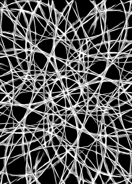 UNIVERSAL PATHWAYS Print