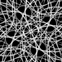 UNIVERSAL PATHWAYS