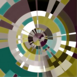 METICULOUS ALGORITHM n°1