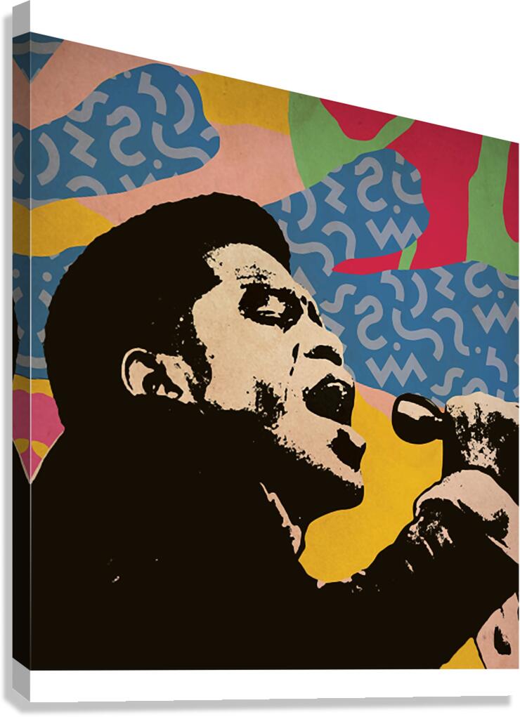 james brown 7 Canvas Print