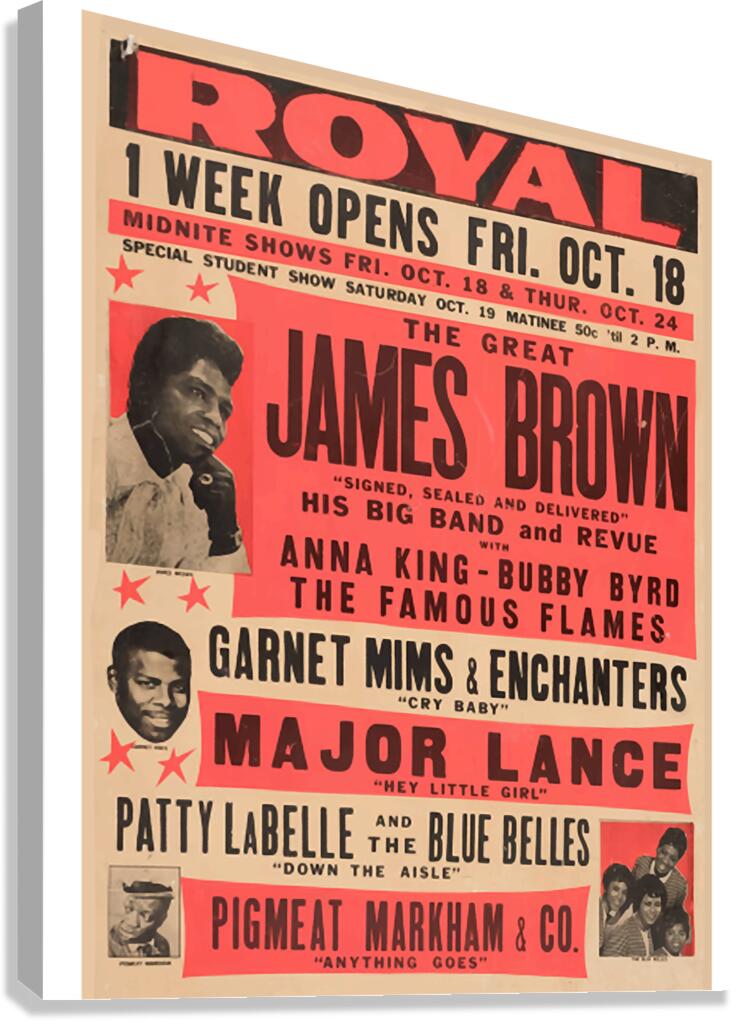 james brown 9 Canvas Print