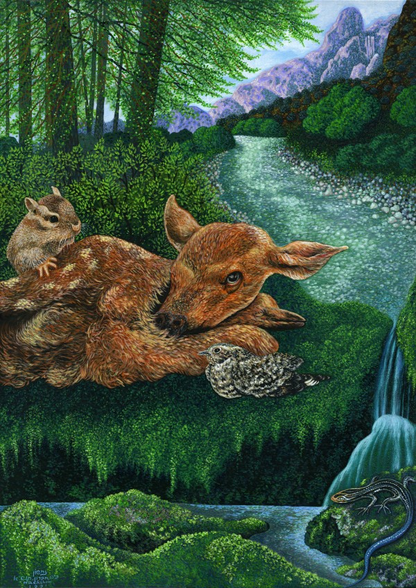 1991 05 by Baruch Nachshon