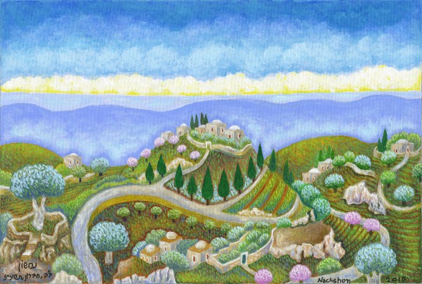 BNC2016-052 by Baruch Nachshon