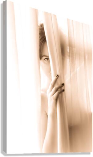 Devoiler L’Illusion Canvas Print