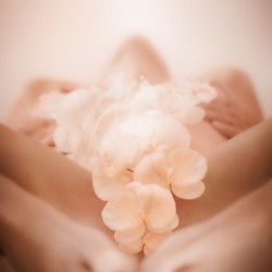 Orchids of Ecstasy