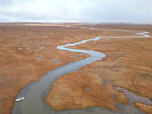Arctic Summer