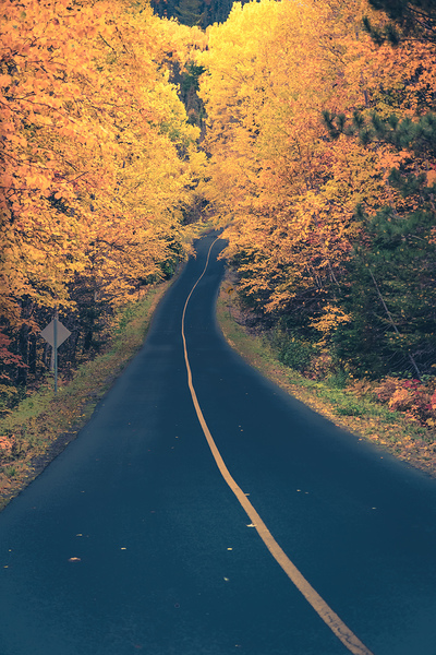 Chemin dautomne Print