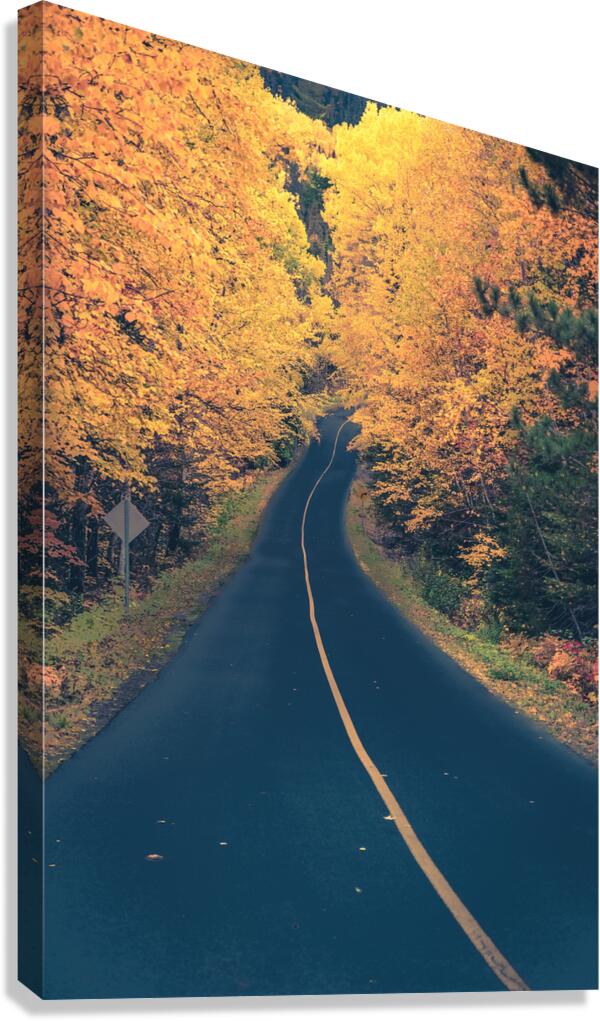 Chemin dautomne Canvas Print