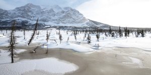 Alaskan Brooks Foothills