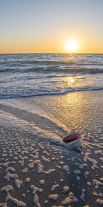 Manasota 2