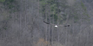 Flying Off