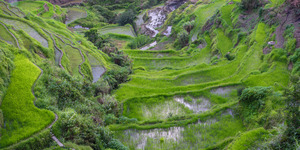 Banaue Rice Terraces