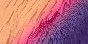 Pelican feathers wide