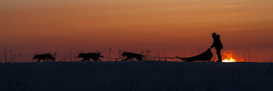 Sunset Sled