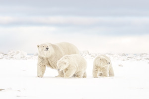 Family outing