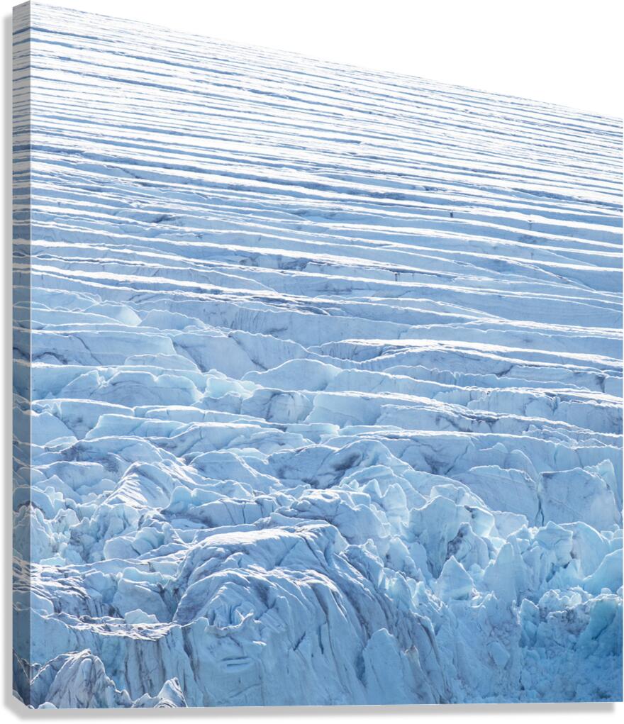 Glaciers End Canvas Print