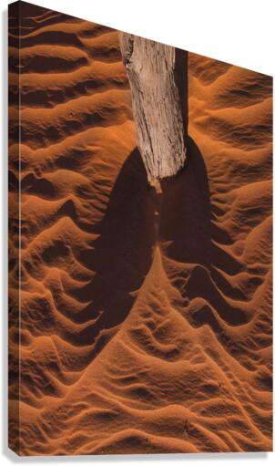 Downwind sand Canvas Print