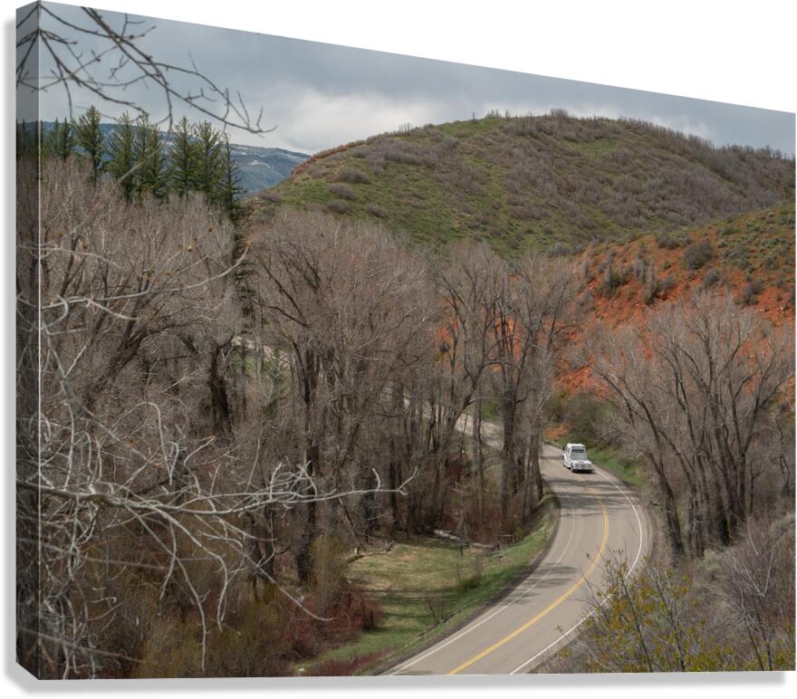Spring 2 Canvas Print