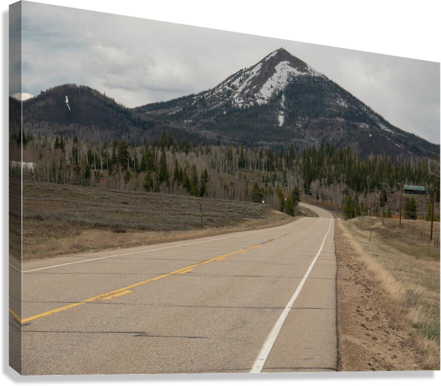 Spring 3 Canvas Print