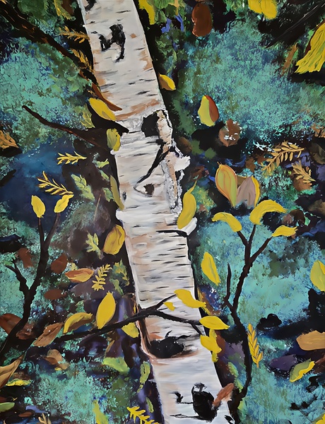 Soft Landing on Moss by Nancy Norman