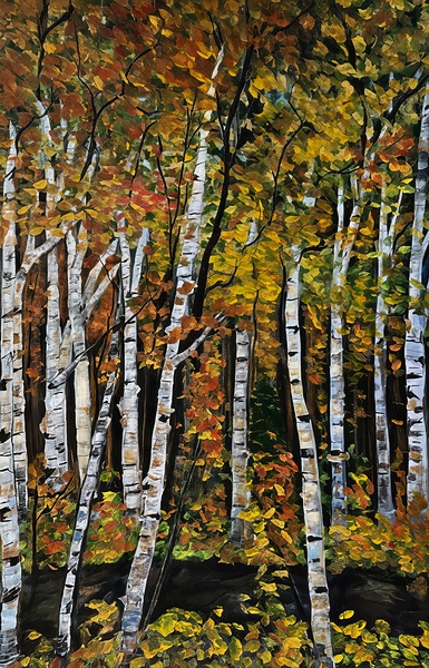 Autumn Birch by Nancy Norman