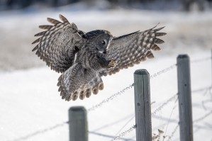 Keep Your Eye On The Target