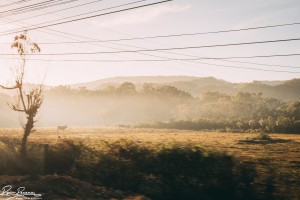 Break of dawn