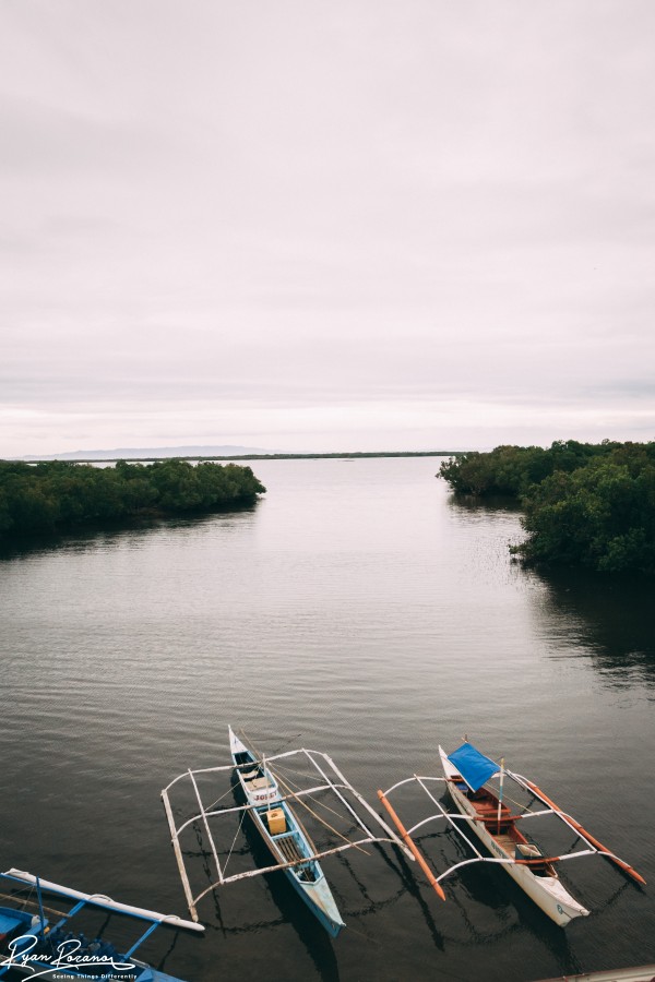 Docked Print