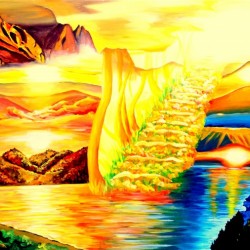 The source of light  